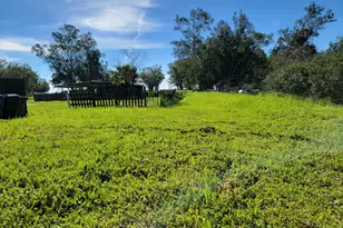 13995 Beskeen Rd, Herald, CA 95638 - Photo 25