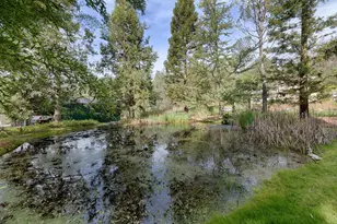 19520 Placer Hills Rd, Colfax, CA 95713 - Photo 3