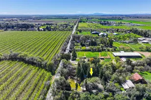 26630 Co Rd 98, Davis, CA 95616 - Photo 3