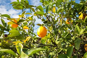 2816 Otto Dr, Stockton, CA 95209 - Photo 3