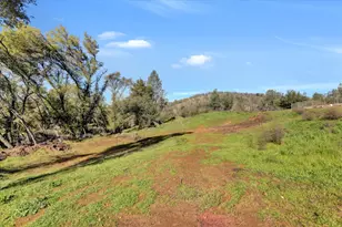 12909 Karlyn Way, Marysville, CA 95901 - Photo 71