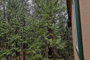 24040 Hitching Post Rd, Sonora, CA 95370 - Photo 43