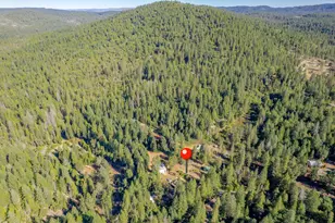 16548 New York House Rd, Brownsville, CA 95919 - Photo 51