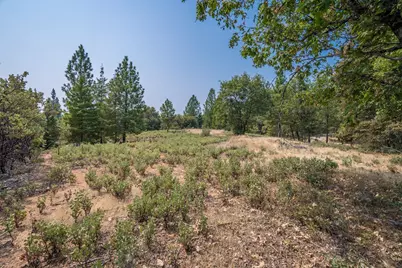 525 Deerborne Court, Colfax, CA 95713 - Photo 9