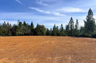 525 Deerborne Ct, Colfax, CA 95713 - Photo 1