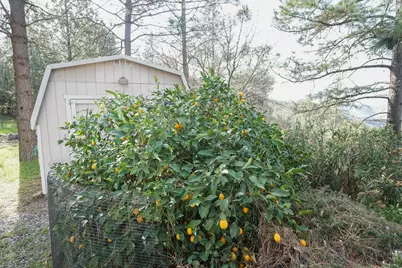 269 Montgomery Drive, Mokelumne Hill, CA 95245 - Photo 23