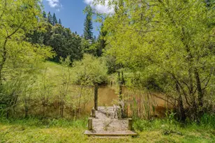 21550 Hwy 88, Pine Grove, CA 95665 - Photo 87