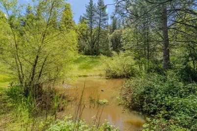 21550 Highway 88, Pine Grove, CA 95665 - Photo 11
