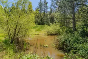 21550 Hwy 88, Pine Grove, CA 95665 - Photo 11