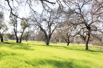 703 Dunstone Drive, Oroville, CA 95966 - Photo 59