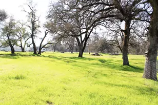 703 Dunstone Dr, Oroville, CA 95966 - Photo 61