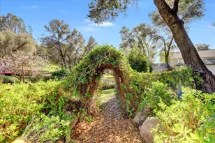 15900 Dry Creek Ln, Grass Valley, CA 95949 - Photo 65