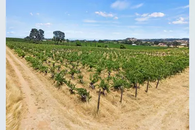 21226 Dickson Road, Plymouth, CA 95669 - Photo 29