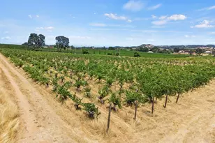 21226 Dickson Rd, Plymouth, CA 95669 - Photo 29