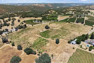 21226 Dickson Rd, Plymouth, CA 95669 - Photo 9