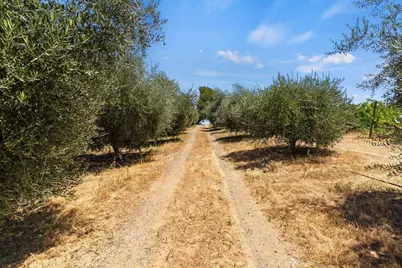 21226 Dickson Road, Plymouth, CA 95669 - Photo 5