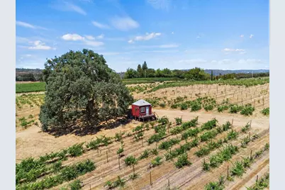 21226 Dickson Road, Plymouth, CA 95669 - Photo 25
