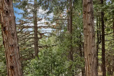 25489 Bambi Lane, Long Barn, CA 95335 - Photo 31