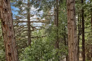 25489 Bambi Ln, Long Barn, CA 95335 - Photo 31