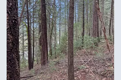 17871 Rollins View Drive, Grass Valley, CA 95945 - Photo 9