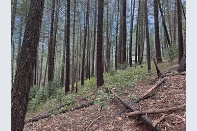 17871 Rollins View Drive, Grass Valley, CA 95945 - Photo 7