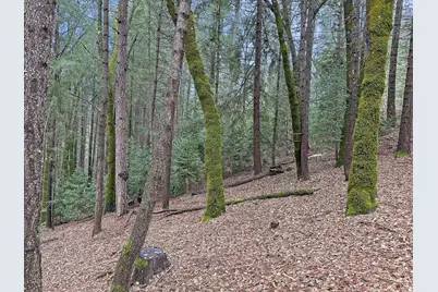 17871 Rollins View Drive, Grass Valley, CA 95945 - Photo 3