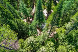 17017 Oregon Hill Rd, Challenge, CA 95925 - Photo 39