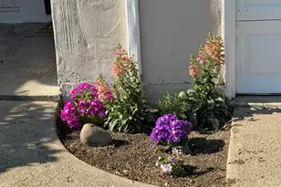 206 S Lee Ave, Oakdale, CA 95361 - Photo 35