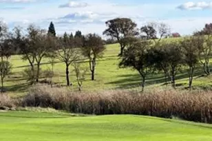 230 Quail Crk Dr, Copperopolis, CA 95228 - Photo 45