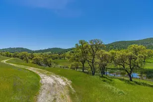 230 Quail Crk Dr, Copperopolis, CA 95228 - Photo 7