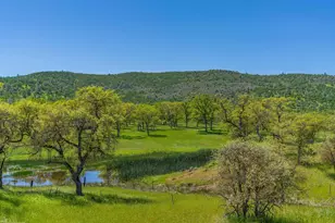 230 Quail Crk Dr, Copperopolis, CA 95228 - Photo 7