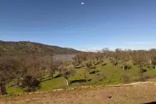 230 Quail Crk Dr, Copperopolis, CA 95228 - Photo 41