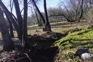 3695 Lily Ln, Shingle Springs, CA 95682 - Photo 47