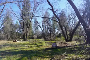 3695 Lily Ln, Shingle Springs, CA 95682 - Photo 49