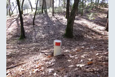 0 Forest Lake Place, Colfax, CA 95713 - Photo 11