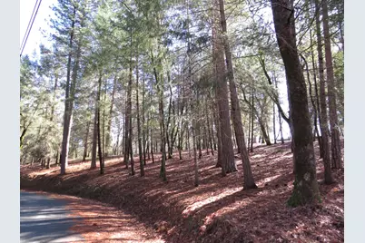 0 Forest Lake Place, Colfax, CA 95713 - Photo 15