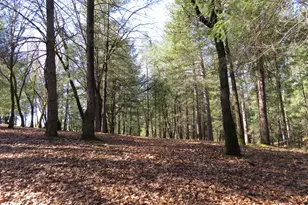 0 Forest Lake Pl, Colfax, CA 95713 - Photo 1