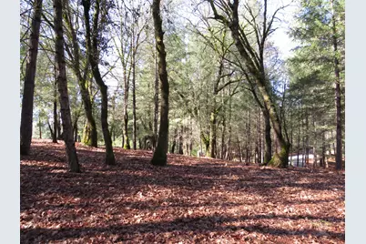 0 Forest Lake Place, Colfax, CA 95713 - Photo 9