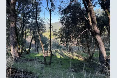 0 Snowberry Court, Murphys, CA 95247 - Photo 13