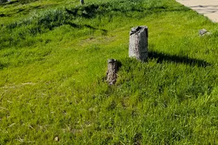 4991 Yuma Ct, Copperopolis, CA 95228 - Photo 9