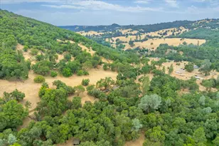 1641 Needmore Dr, Shingle Springs, CA 95682 - Photo 37