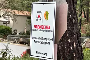 Dalewood Way, Grass Valley, CA 95949 - Photo 31