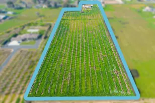 10118 Pioneer Ave, Oakdale, CA 95361 - Photo 31