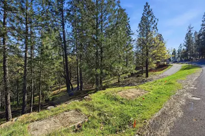 1642 The Point Road Lot 297, Meadow Vista, CA 95722 - Photo 21