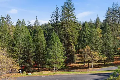 1642 The Point Road Lot 297, Meadow Vista, CA 95722 - Photo 5
