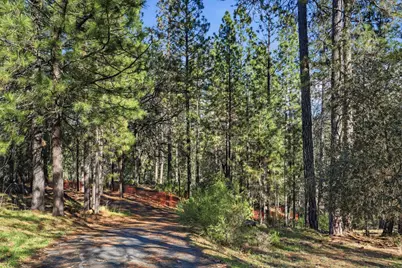 1642 The Point Road Lot 297, Meadow Vista, CA 95722 - Photo 25