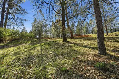 1642 The Point Road Lot 297, Meadow Vista, CA 95722 - Photo 33