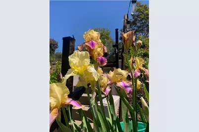 2367 Ponderosa Road, Rescue, CA 95672 - Photo 53