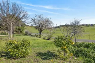 20690 Co Rd 79B, Capay, CA 95607 - Photo 79