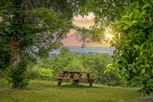 12606 Black Rd, Smartsville, CA 95977 - Photo 3